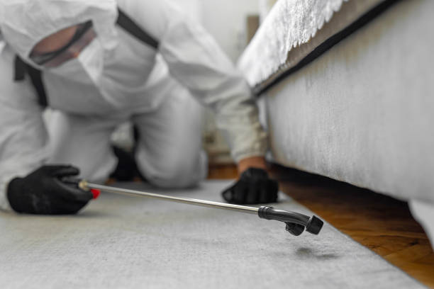 Professional Bed Bug Control technician working in Cleveland County County, OK